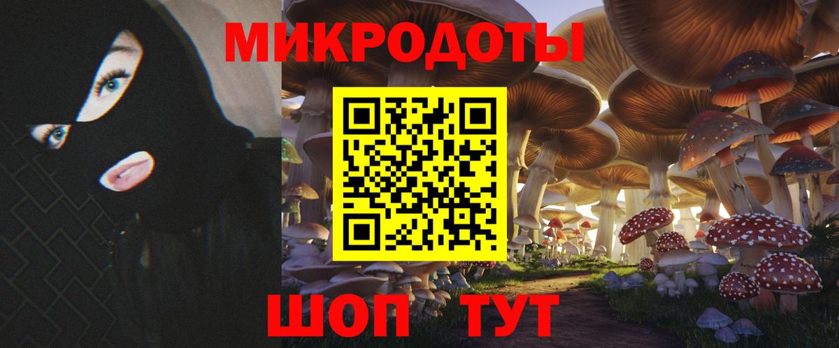 Псилоцибиновые грибы прущие грибы Алексеевка